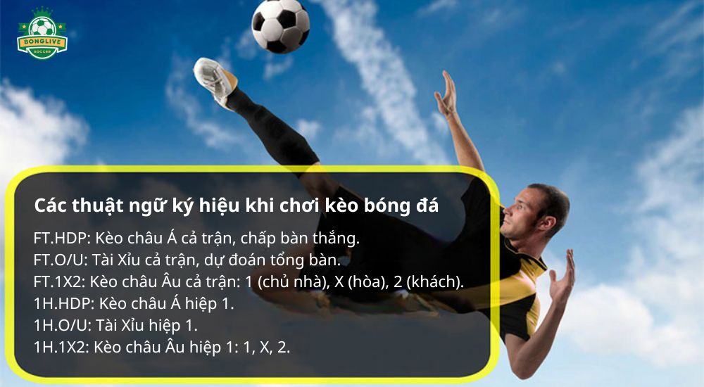 Các thuật ngữ ký hiệu khi chơi kèo bóng đá