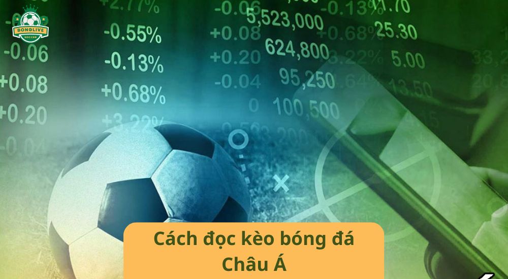 Cách đọc kèo bóng đá Châu Á dễ hiểu