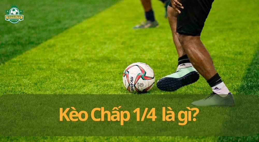 Kèo chấp 1/4 là gì? Bí quyết chơi kèo hiệu quả để thắng lớn