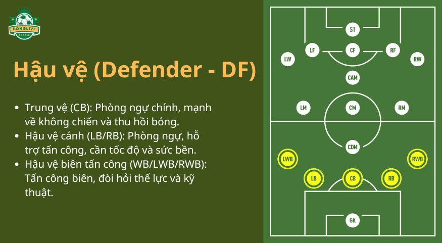 Vị trí Hậu vệ (Defender - DF) trong bóng đá