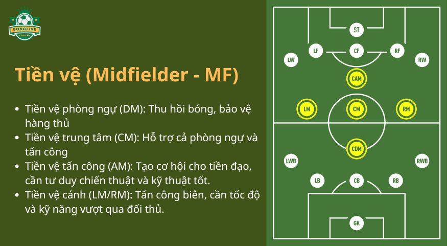 Mô tả vị trí Tiền vệ (Midfielder - MF) trong bóng đá 